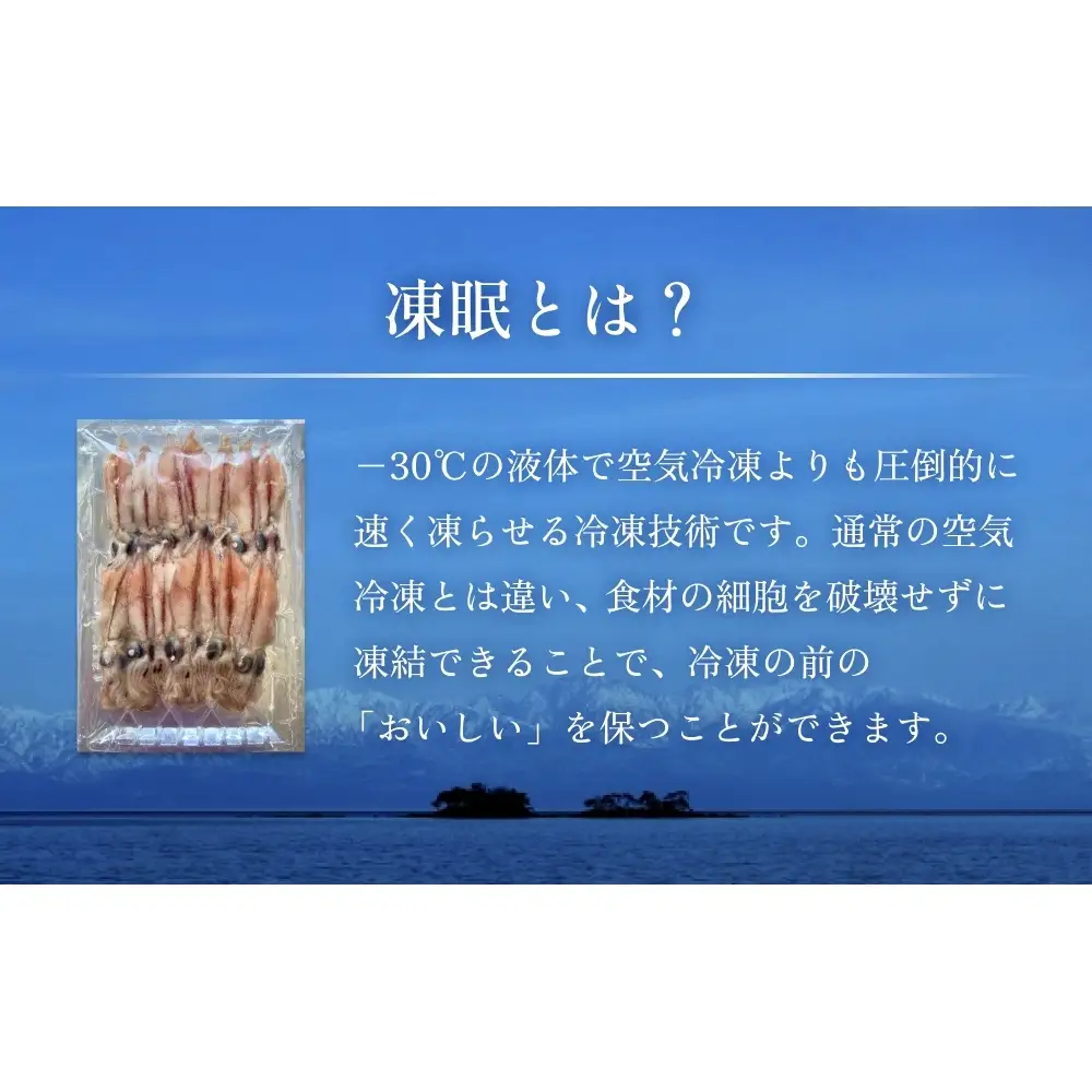 生冷凍ホタルイカ（凍眠） 100g 富山県 氷見市 ほたるいか しゃぶしゃぶ 冷凍