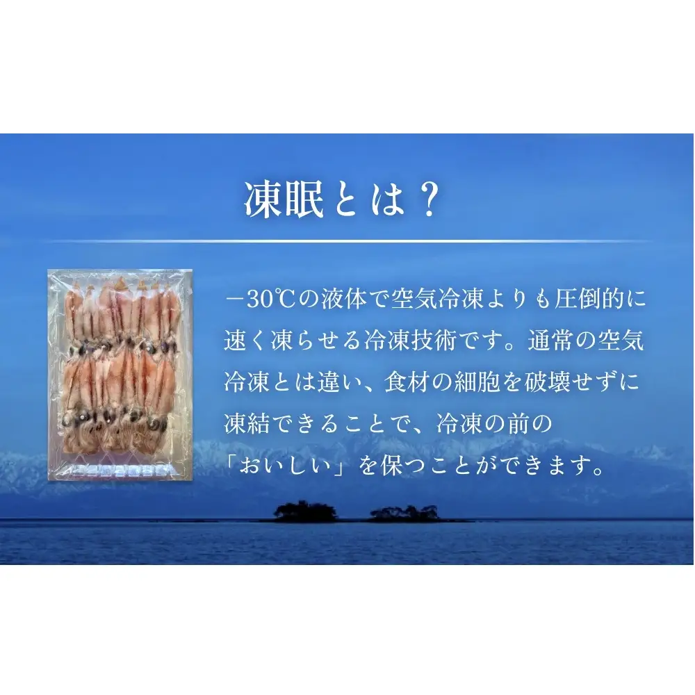 生冷凍ホタルイカ（凍眠） 300g 富山県 氷見市 ほたるいか しゃぶしゃぶ 冷凍　ホタルイカ
