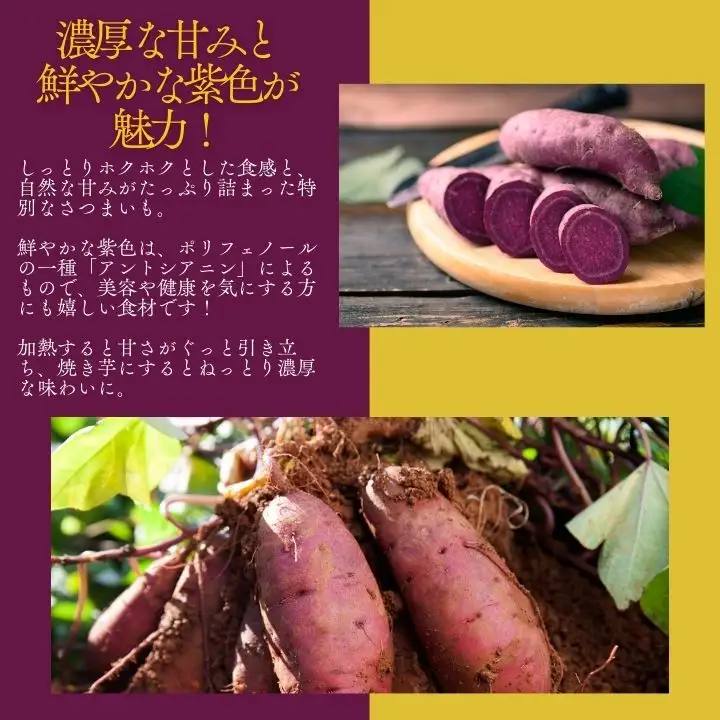 紫芋 農家直送！とろける濃密紫いも5kg【ADATARAふぁーむ】