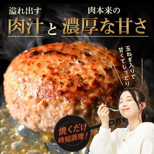 オアシス九州 熊本県産あか牛ハンバーグ150ｇ×５個 _U117-0048