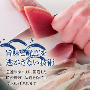 一本釣り刺身用かつお (a10-864)
