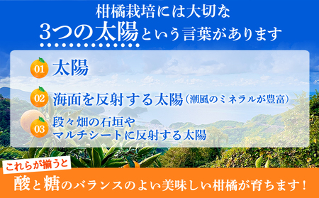 ＜TSUGUMI 清見ジュース 720ml×2本＞ 柑橘 みかん ミカン オレンジ 新鮮 ジュース ソフトドリンク 飲んで応援 のし対応可 お祝い 内祝い ギフト 贈答 贈り物 プレゼント 特産品 愛媛県 西予市【常温】『1か月以内に順次出荷予定』MHS0012