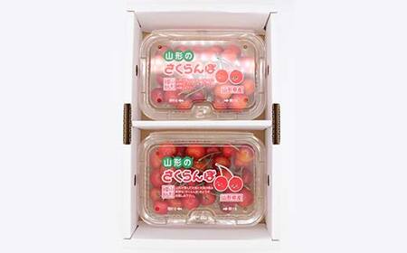 《2027年発送先行予約》山形県産 さくらんぼ約180g×2P 品種おまかせ M以上 果物 くだもの フルーツ 夏果物 サクランボ F4A-0926