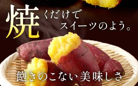 さつまいも サツマイモ  紅はるか シルクスイート 食べ比べ 2.5kg  Sサイズ
