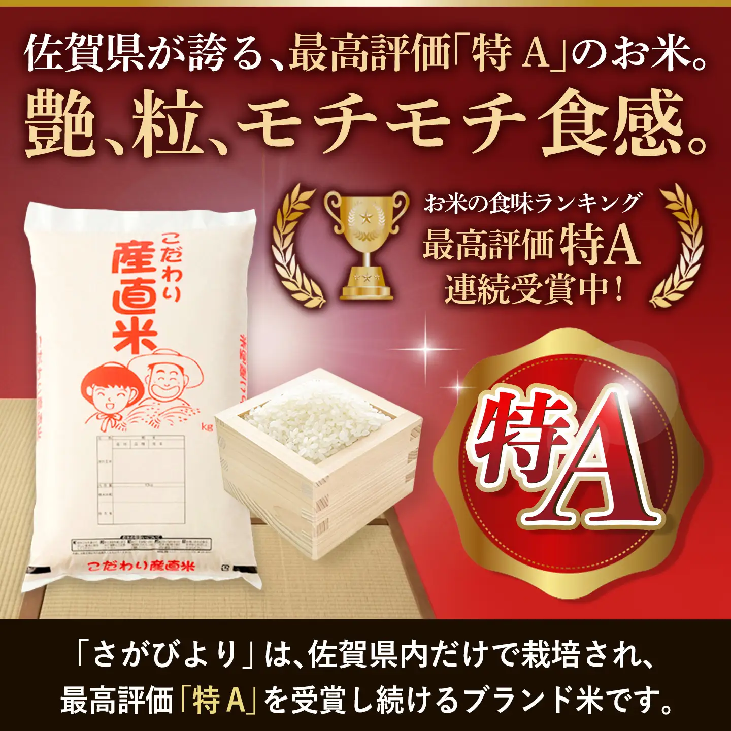 【令和7年産】さがびより 精米 10kg 農園(H061E74)