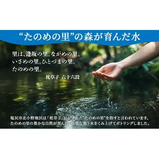 定期便【12ヶ月連続 計12回】信州たのめの里の水 ラベルレス 500ml PET × 24本