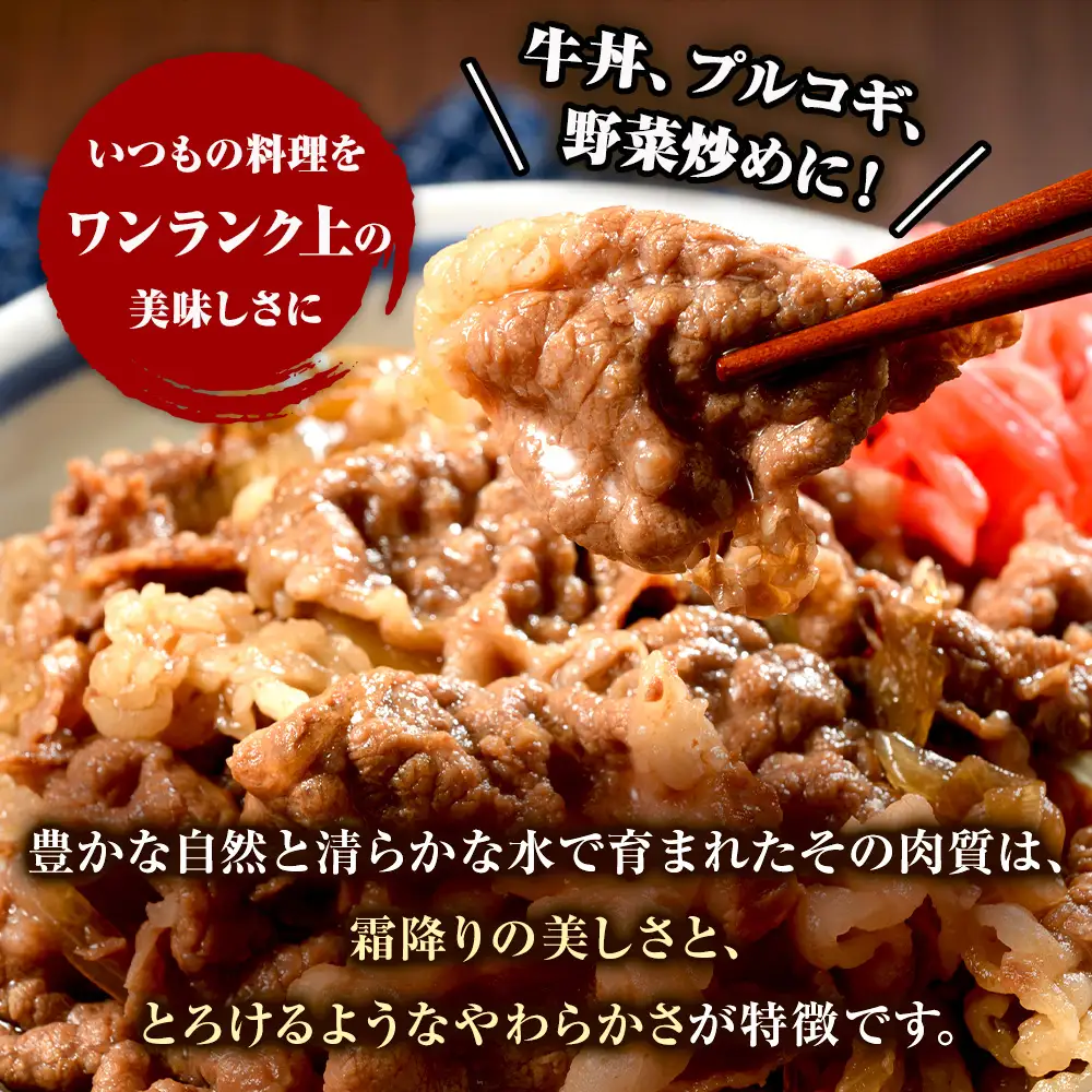 近江牛 小間切れ 520ｇ (173121-40037697)