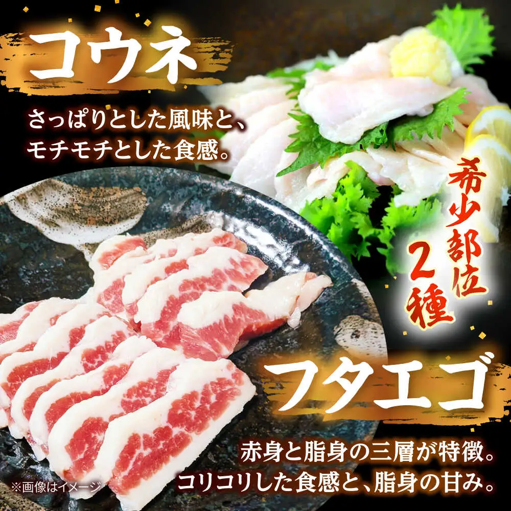 馬刺し バラエティスライス 約1.03kg 5種類 タレ付き  馬刺し[AYAF010]