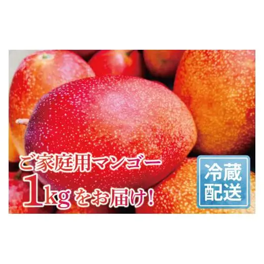アップルマンゴー 約1kg(2～3玉)(家庭用)
