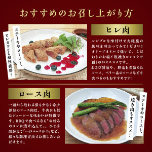 【希少部位2点セット】大槌鹿ヒレ肉・ロース肉セット【ステーキ・ロースト・ヒレカツに】岩手県産 天然鹿 鹿肉 ジビエ ヘルシー 低カロリー 冷凍 赤身