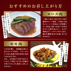 【鹿肉定番2点セット】大槌鹿ロース肉・モモ肉セット【ステーキ・ロースト・ヒレカツに】岩手県産 天然鹿 鹿肉 ジビエ ヘルシー 低カロリー 冷凍 赤身