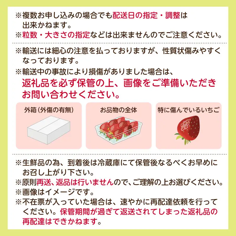 【先行受付】栃木県産　とちあいか約250ｇ×4パック【栃木県共通返礼品】【2027年1月下旬～発送予定】　ns120-001 いちご とちあいか 