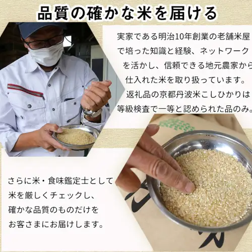 【12回定期便】きぬひかり 5kg 定期便 精米 白米