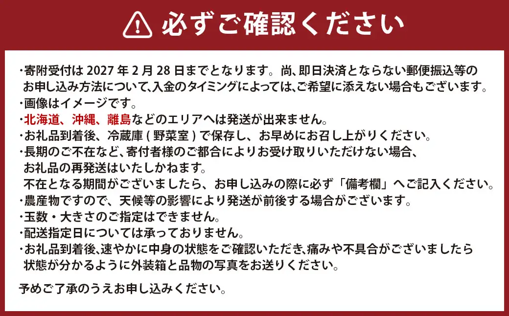 熊本県産いちご 恋みのり2キロ（8パック） 【2027年2月上旬発送開始】