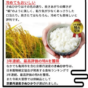 定期便 無洗米 5kg 6ヶ月 京都丹波産 キヌヒカリ 6回定期便 5kg ×6回 計30kg
