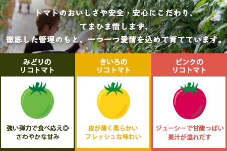 【3回定期便】【先行受付】2027年1月より順次発送｜【少量パック】カラフルミニトマト6種 360g（120g×3）｜トマト プチトマト 野菜 農家直送 ギフト 人気｜佐賀県鹿島市 たにぐちファーム D-241