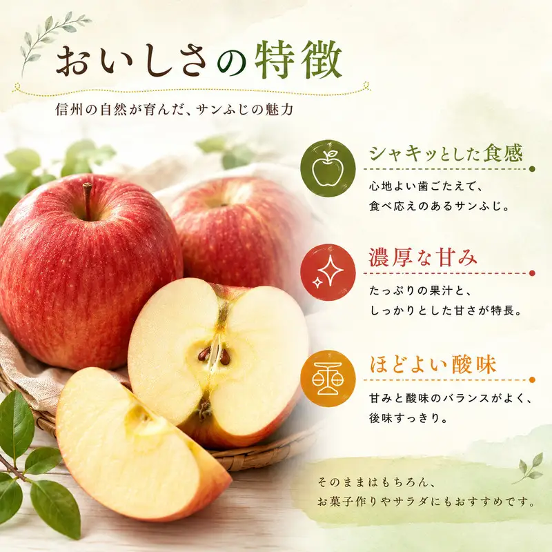 りんご 信州上田産 サンふじ 家庭用 約5kg  リンゴ 林檎 5kg サンフジ 果物 くだもの フルーツ デザート 旬の果物 旬のフルーツ 傷 長野県 長野 上田市