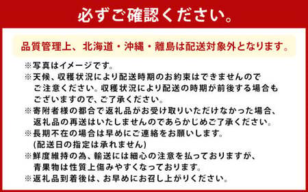 【全2回定期便】数量限定 フルーツ定期便 いちご 2品種 食べ比べ （ あまおう ・ かおり野 ） 合計約2.28kg 【2027年1月下旬から3月下旬まで順次発送予定】