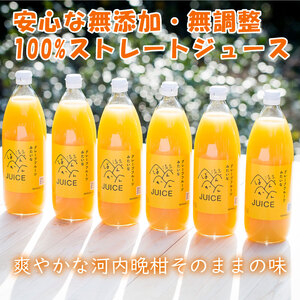 河内晩柑ストレートジュース 6本×1000ml 100% 河内晩柑 愛南ゴールド ジュース 清家ばんかんビレッジ