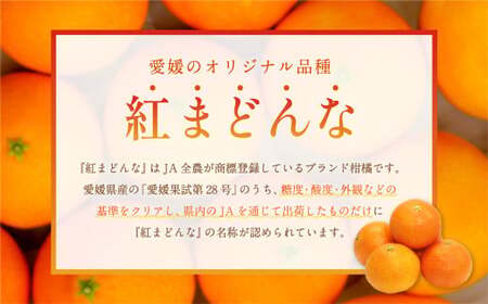 愛媛の旬の柑橘 紅まどんな（専用箱）約2.5kg  3L～Lサイズ 10～15個（青秀以上）【2026年12月発送予定】（14-2）紅まどんな 紅マドンナ まどんな マドンナ みかん ミカン 蜜柑 柑橘類 果物 くだもの フルーツ 柑橘 かんきつ 愛媛果試第28号 常温 国産 愛媛 愛媛県 先行予約