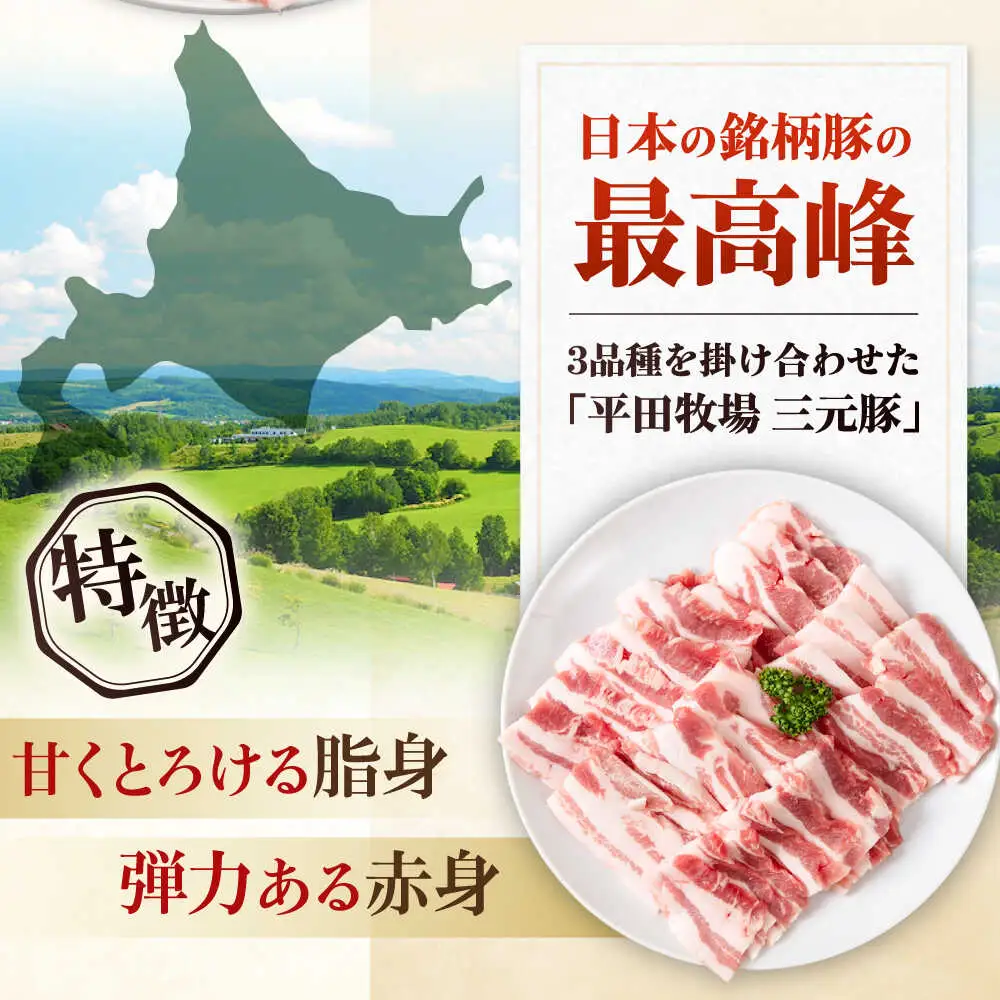 【全6回定期便】平田牧場 バラ 焼肉用 200g 豚肉 カルビ スライス [AJAP153]