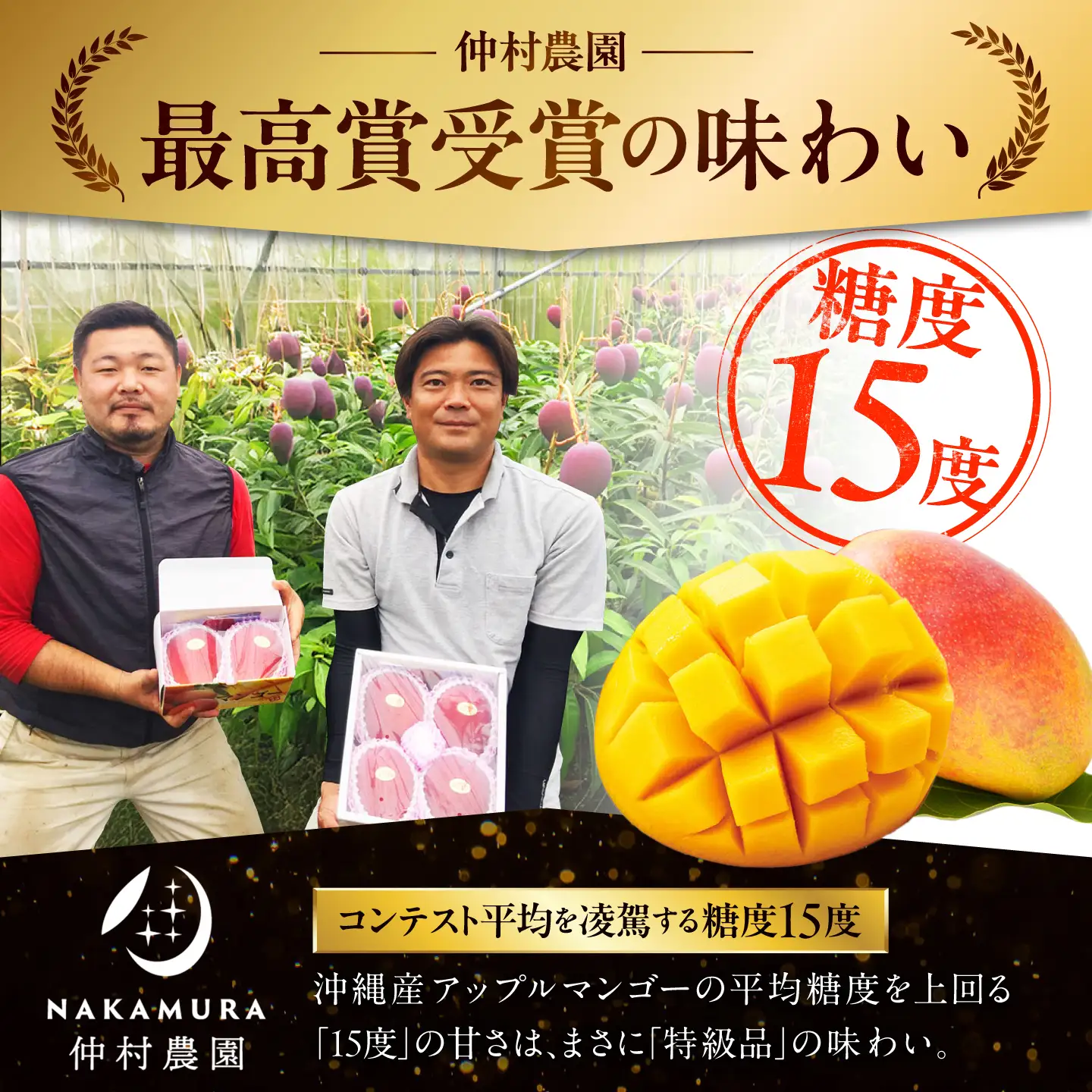 【2027年発送 先行予約】 マンゴー 訳あり 2kg マンゴー BCCU003