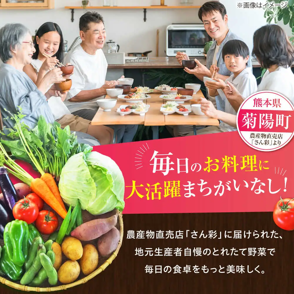 全3回定期便 旬の 野菜 セット 約3kg/ 野菜 7-8品程度 BHAK024