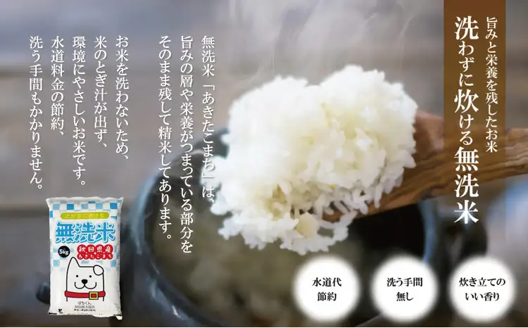 【定期便3ヶ月】令和7年産　秋田県産米「あきたこまち（無洗米）」 5kg（5kg×1袋）150P9204【真正ファーム】