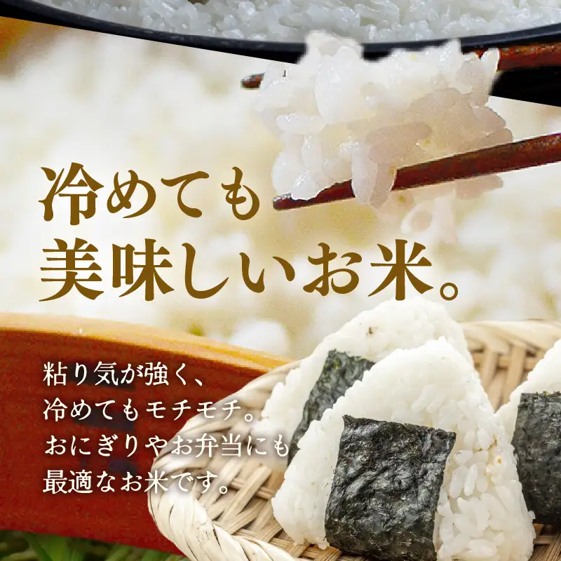【先行予約】【令和8年産】定期便 ≪6ヶ月連続お届け≫ 特別栽培米 コシヒカリ 精米 10kg×6回（計60kg）※2026年10月上旬より順次発送 [aw121-k002]
