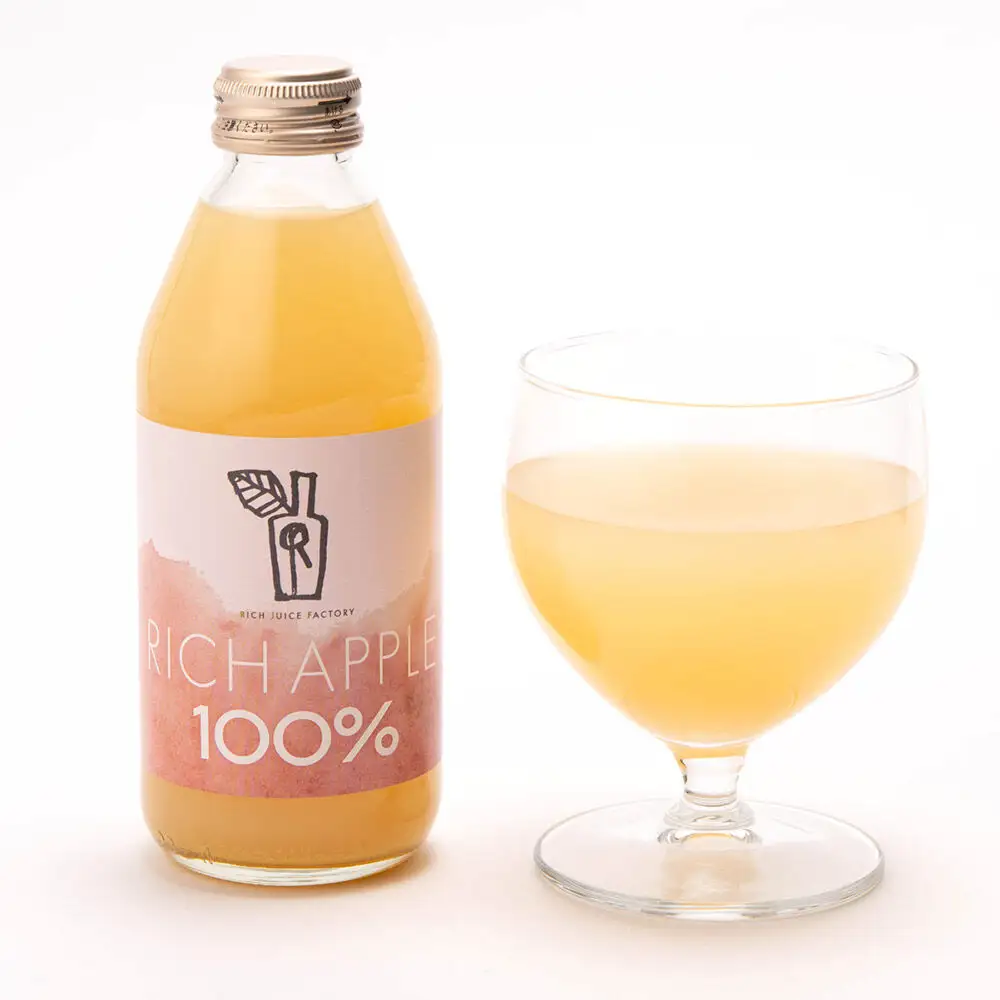 【定期便3ヶ月】RICH APPLE 飲み比べ りんごジュース12本セット（250ml×12本×3回）【飲料類 果汁飲料】