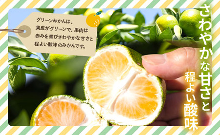 【2026年9月より順次配送】訳あり グリーンみかん 5kg 小玉 みかん be-0117