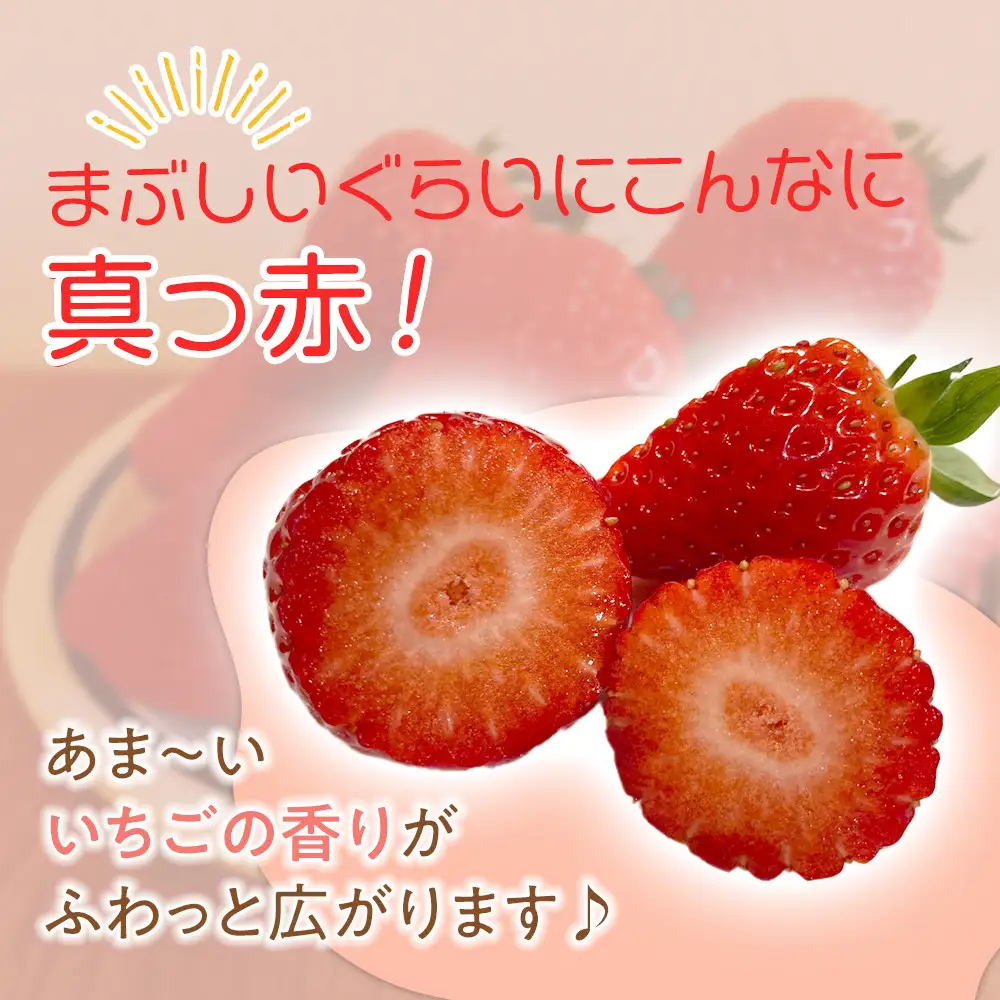 【先行予約！】2027年1月以降順次発送　よつぼし いちご　200g×4