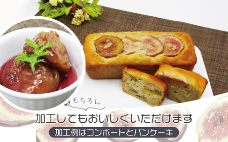 福岡県産いちじく「とよみつひめ」　冷凍パック1kg（500g×2袋）[H2326]