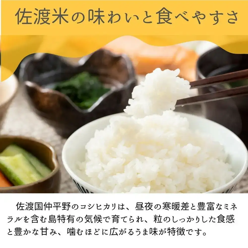【新潟県佐渡】国仲平野産コシヒカリ＜数量限定・生産地域限定＞ 令和7年産 精米【無洗米】5kg 送料無料