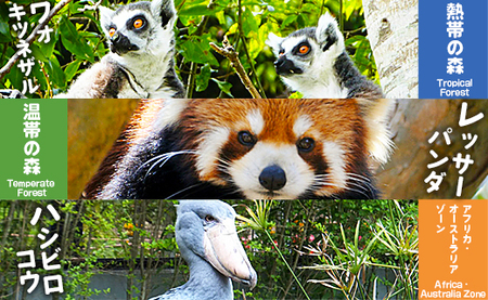 【返礼品なし】高知県立のいち動物公園 動物支援(飼料費支援) 10,000円 ni-0006