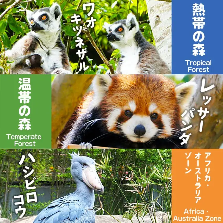 【返礼品なし】高知県立のいち動物公園 動物支援(飼料費支援) 500,000円 ni-0011