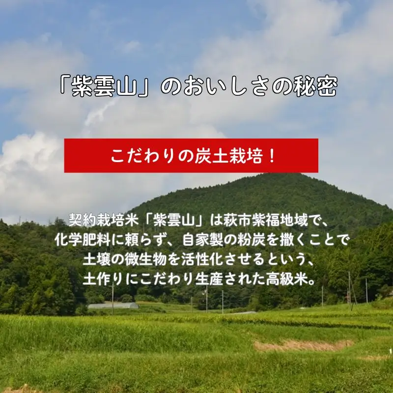 コシヒカリ 5kg 紫雲山 野菜ソムリエ プロselect 萩のお米 萩市 紫福産 米 お米 白米