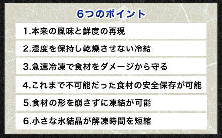自宅で透明感を再現！須佐男命いかの姿造り（刺身）特殊冷却「3D冷凍」パック 1個