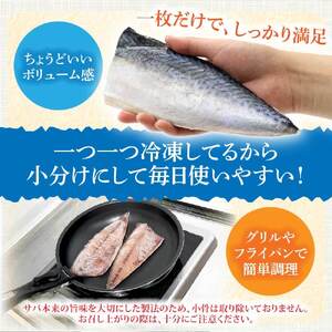 塩サバ 1kg 約6枚 訳あり【塩サバ】【R01424】
