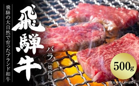 飛騨牛 カルビ焼肉 500g(1パック) 冷凍真空パック | 焼肉 MZ037