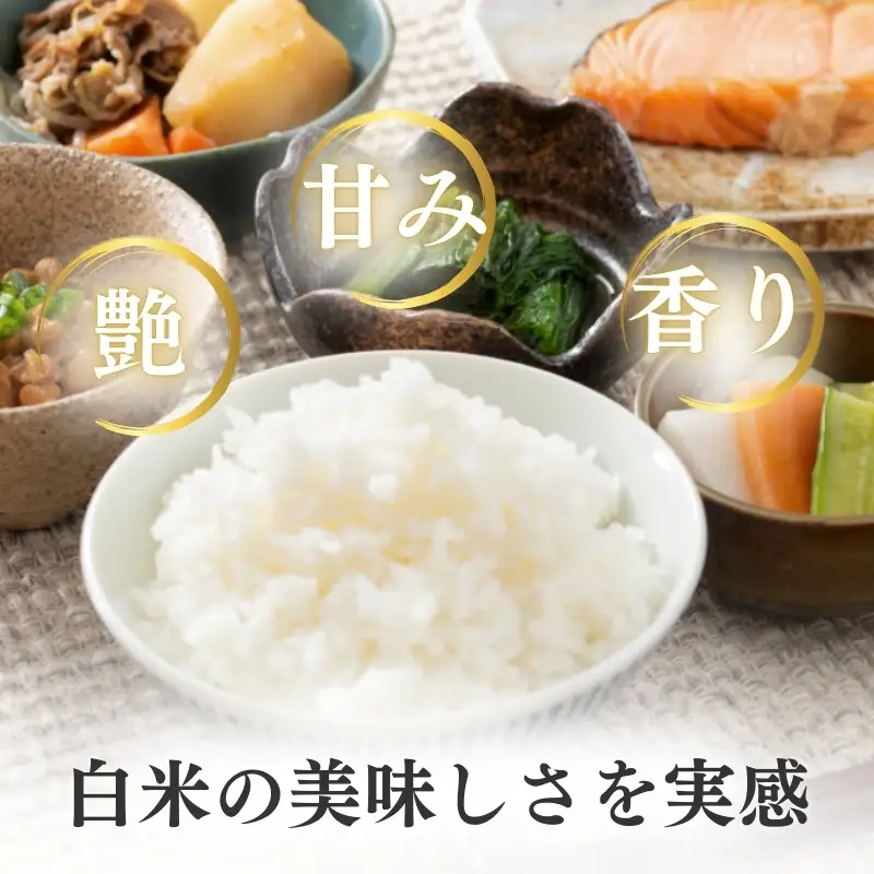 【定期便3か月】コシヒカリ 精米 上越産 コシヒカリ 5kg
