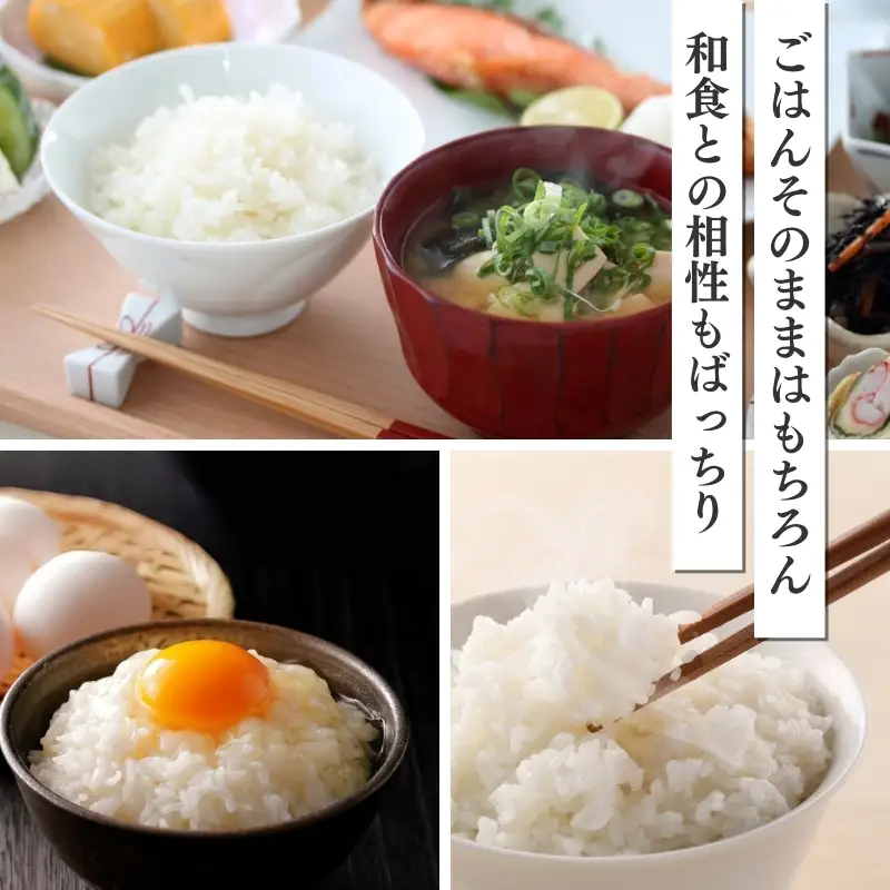 【定期便6か月】食味鑑定士厳選 コシヒカリ 無洗米 コシヒカリ 5kg