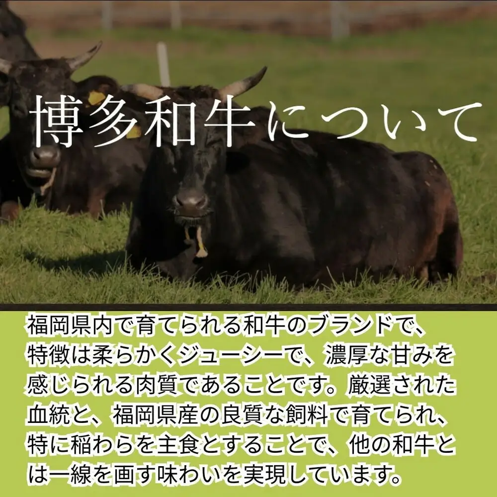【博多和牛１００％使用】お肉屋さんの手ごねジューシー生ハンバーグ180ｇ×8個 | 食品 加工食品 人気 おすすめ 送料無料