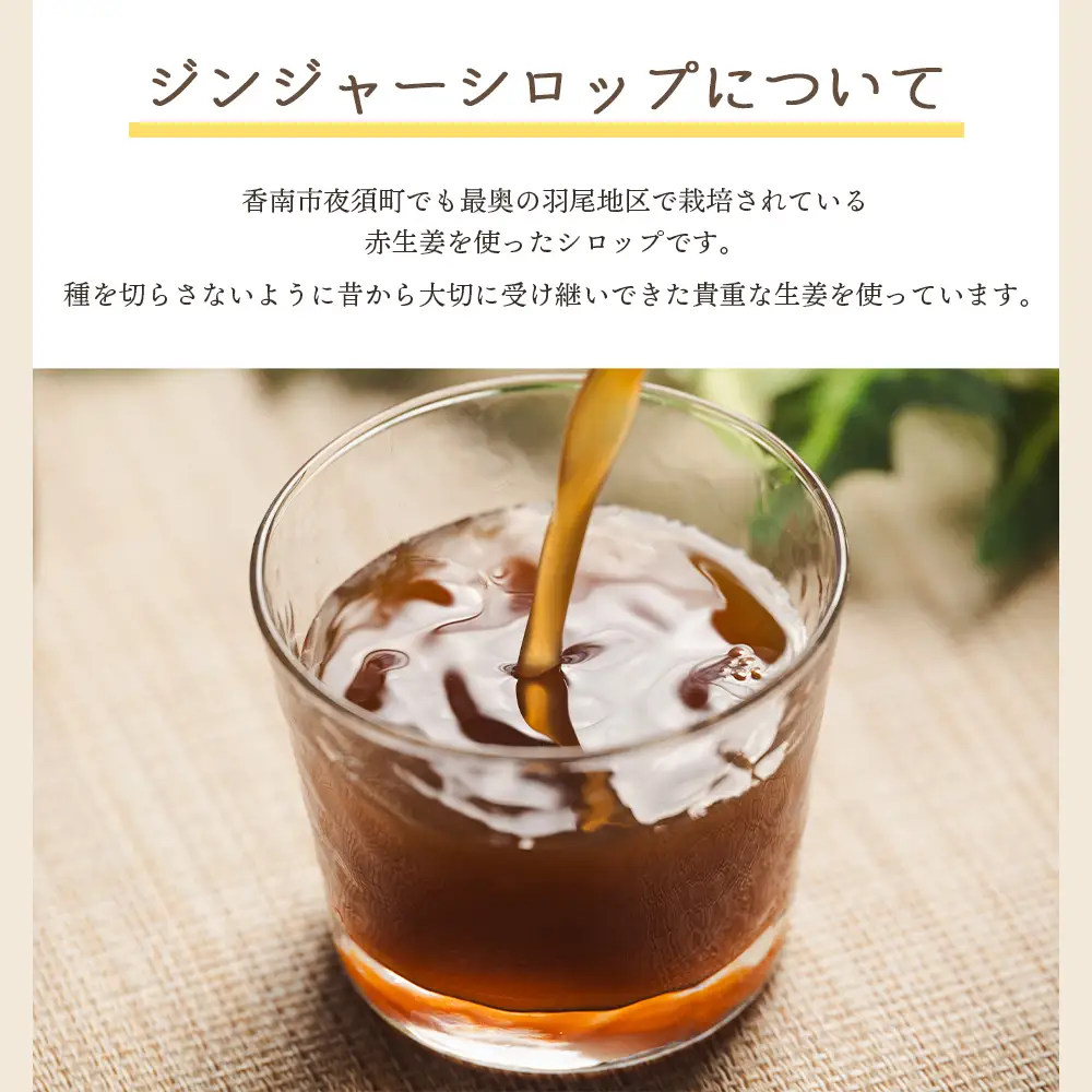 ジンジャーシロップ 200ml×5本 生姜 ジンジャーシロップ yr-0125