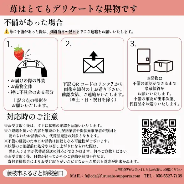 【全3回定期便】 いちご きらぴ香 約1kg 1月 2月 3月発送