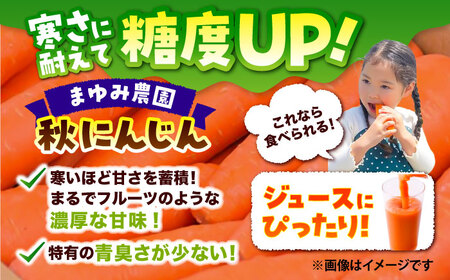 【先行予約】【2026年12月順次発送開始】秋にんじん10kg (訳あり) にんじん BHCW007