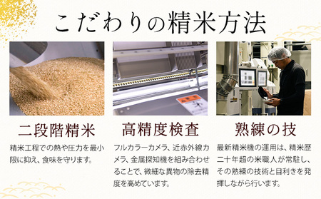 無洗米 ひのくに米 5kg 無洗米 訳あり