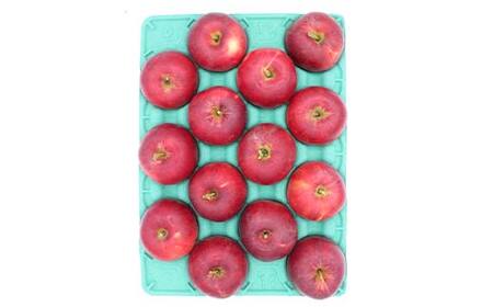 《2026年発送先行予約》紅玉約2.8kg 7～14玉 秀 紅玉 林檎 リンゴ 果物 くだもの フルーツ 山形県産 F4A-0942