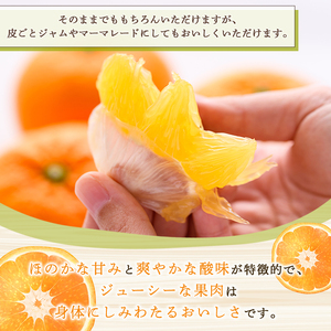 ＜先行予約受付中！2027年2月上旬以降順次発送予定＞ 訳あり！紅甘夏 (約9kg) 国産 紅甘夏 柑橘 果物 フルーツ デザート 果実 期間限定 数量限定 【古田果樹園】akn093-04