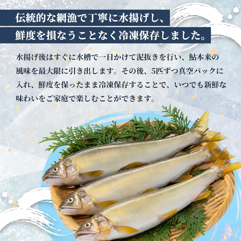 天然鮎 網獲り 冷凍 約0.5kg（約7匹～11匹） あゆ 鮎